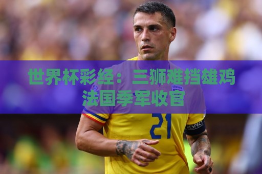 世界杯彩经：三狮难挡雄鸡 法国季军收官