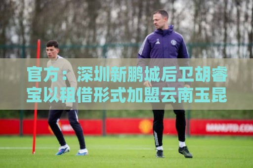 官方:深圳新鹏城后卫胡睿宝以租借形式加盟云南玉昆 官方:深圳新鹏城后卫胡睿宝以租借形式加盟云南玉昆