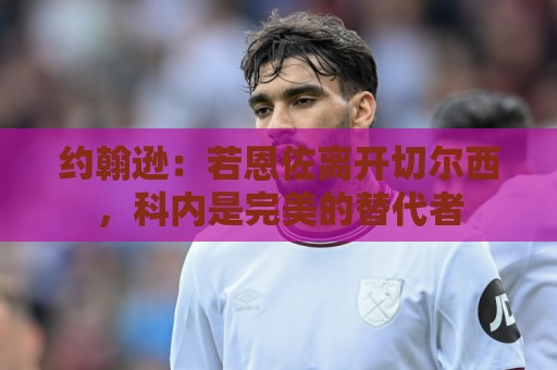 约翰逊：若恩佐离开切尔西，科内是完美的替代者