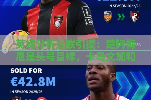 英媒分析曼联引援:楚阿梅尼是头号目标,卡马文加和霍尔在列 英媒分析曼联引援:楚阿梅尼是头号目标,卡马文加和霍尔在列
