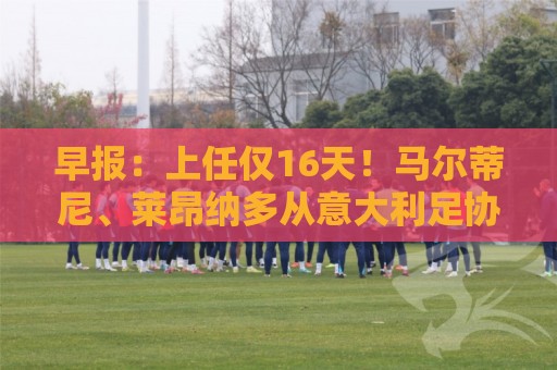 早报：上任仅16天！马尔蒂尼、莱昂纳多从意大利足协辞职