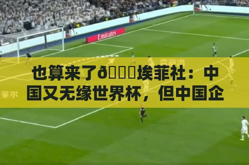也算来了😅埃菲社：中国又无缘世界杯，但中国企业深度参与其中