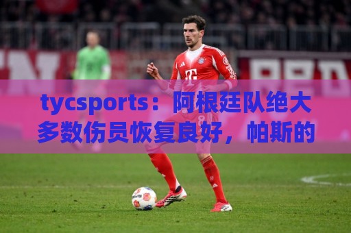 tycsports:阿根廷队绝大多数伤员恢复良好,帕斯的情况属于例外 tycsports:阿根廷队绝大多数伤员恢复良好,帕斯的情况属于例外