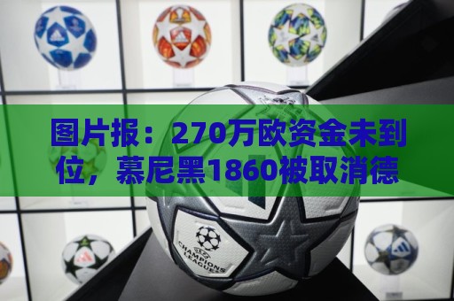 图片报：270万欧资金未到位，慕尼黑1860被取消德丙参赛资格