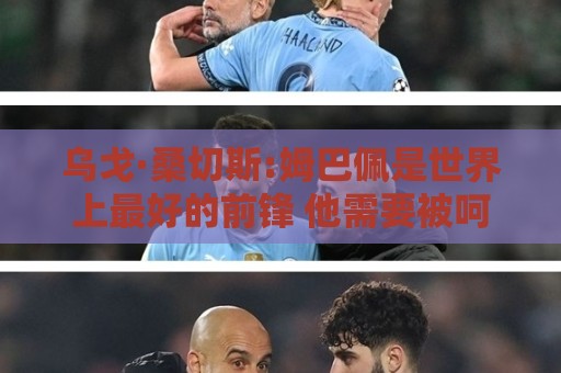 乌戈·桑切斯:姆巴佩是世界上最好的前锋 他需要被呵护保护和宠爱
